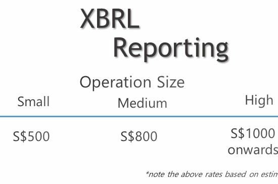 XBRL Reporting